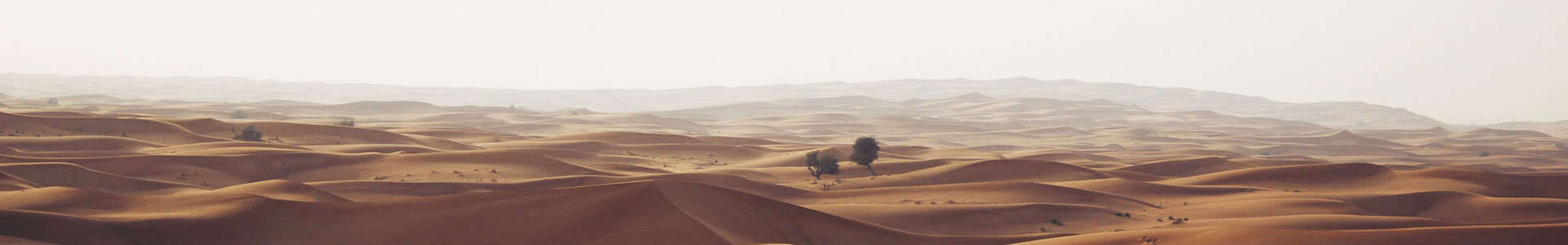 ()Ƽ޹˾